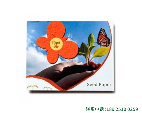 seed paper环保可种植种子纸