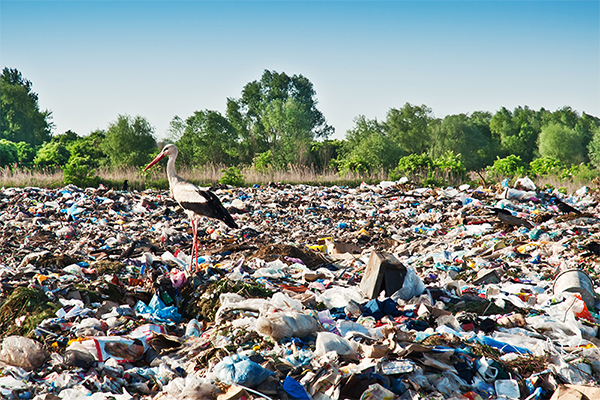 减少废物是可持续的重要因素之一